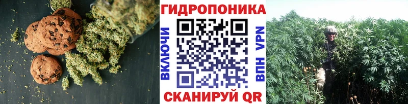 продажа наркотиков  Агрыз  kraken маркетплейс  Cannafood марихуана 