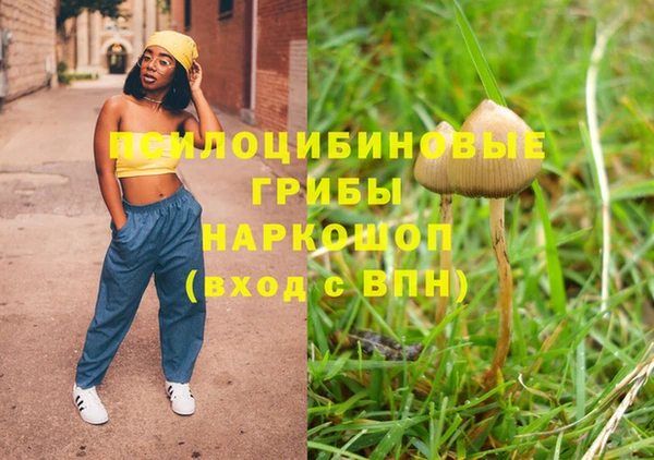прущие грибы Остров