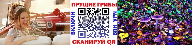 Галлюциногенные грибы Psilocybine cubensis Агрыз